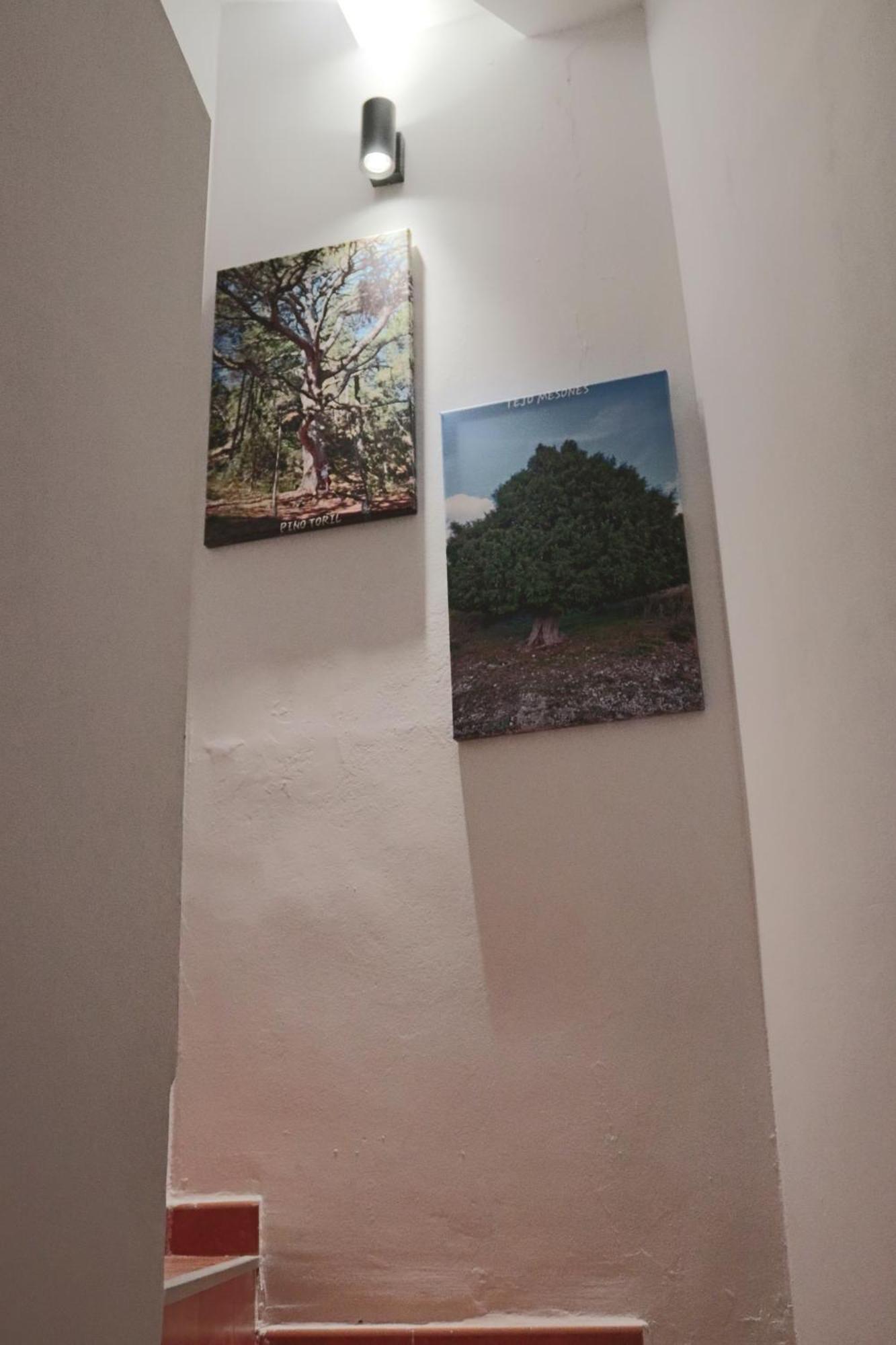 Casa 25 Villa Riópar Kültér fotó